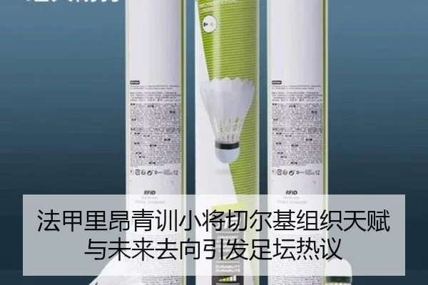 法甲里昂青训小将切尔基组织天赋与未来去向引发足坛热议